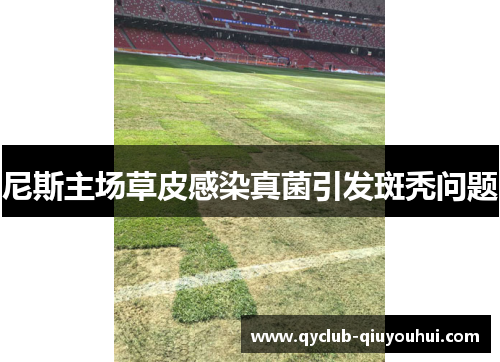 尼斯主场草皮感染真菌引发斑秃问题